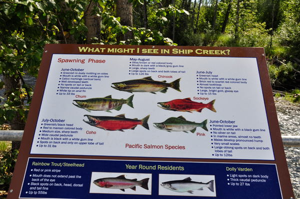 sign about the fish